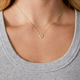 Med Star CZ of David Necklace
